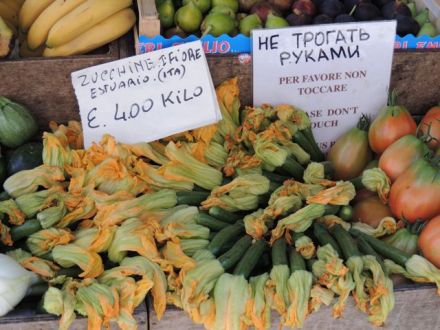 Venice_Zucchini_Flower